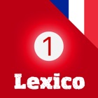 Lexico Comprendre 1