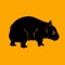 WombatCam is the easiest way to put a live WebCam on your home screen as a Widget