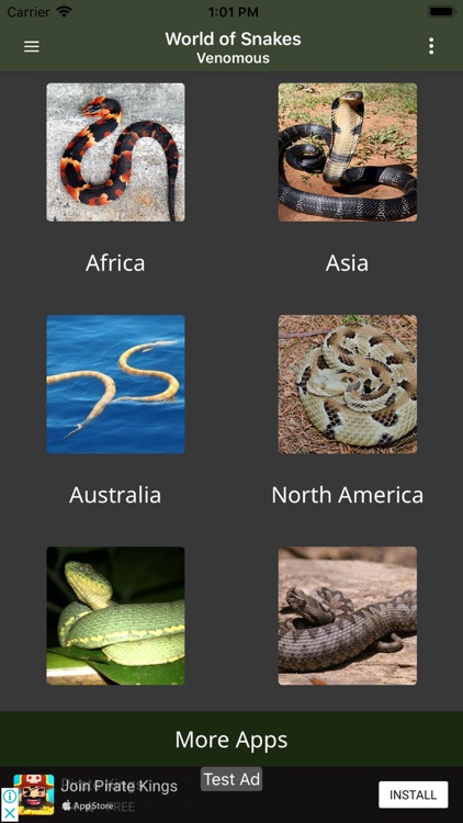 Amazing World Of Snakes