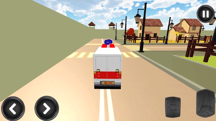 Ambulance city Driver