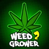 Weed Grower 2 : Legalization legalization of marijuana 