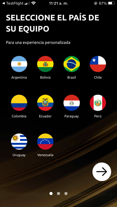 CONMEBOL Libertadores screenshot 2