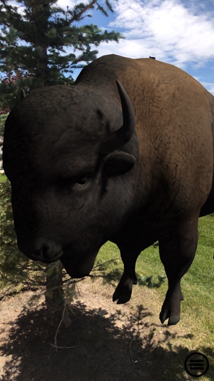 FC Explore screenshot-7