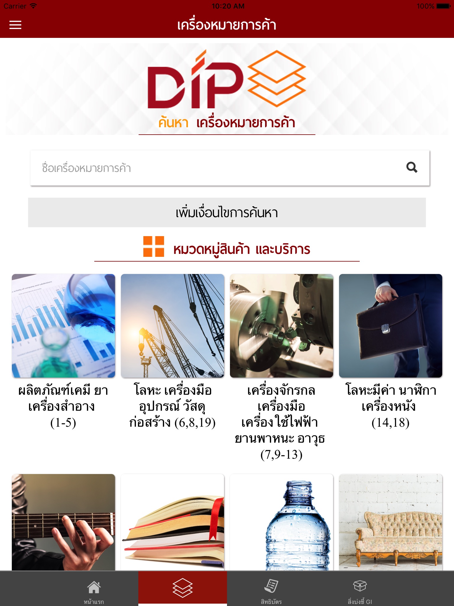 DIP e-Service screenshot 2