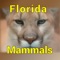 Another app in our Florida Wildlife series