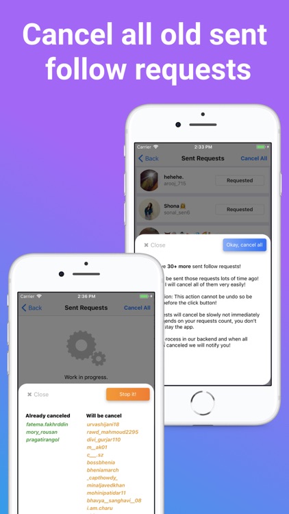 Reqfull: Cancel Sent Requests screenshot-3
