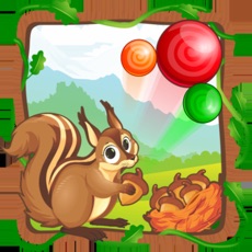 Activities of Squirrel Puzzle:Bubble Shooter