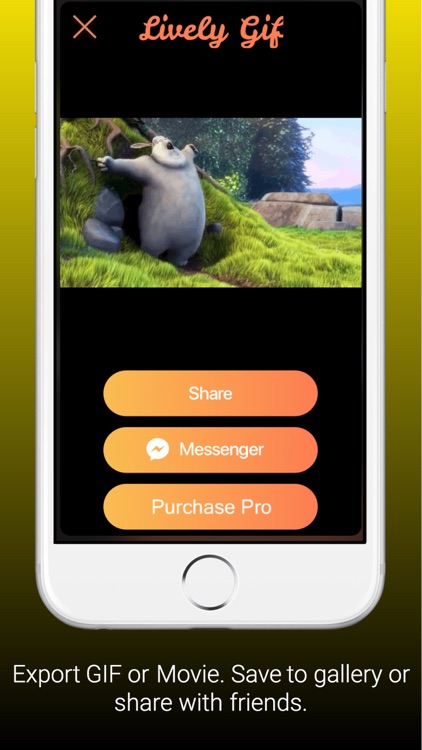 Lively Gif- Live Photo to GIF