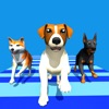 Dog Run Racer - Fun Race 3D