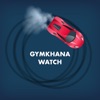 Gymkhana Watch: Drifting game