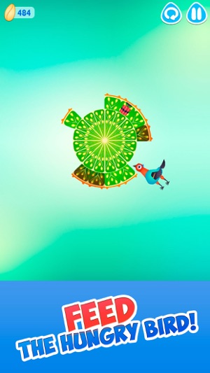 Pigeon Bird - Eating Game(圖1)-速報App