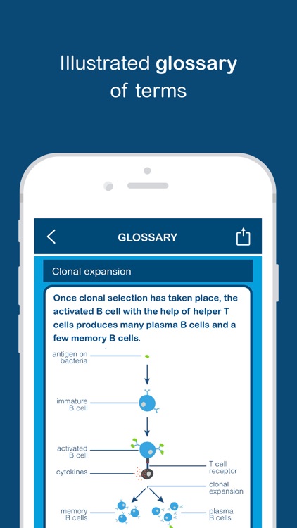 Biology - Biobrain