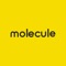 The Molecule Fashion & Sport app is here to provide information about: