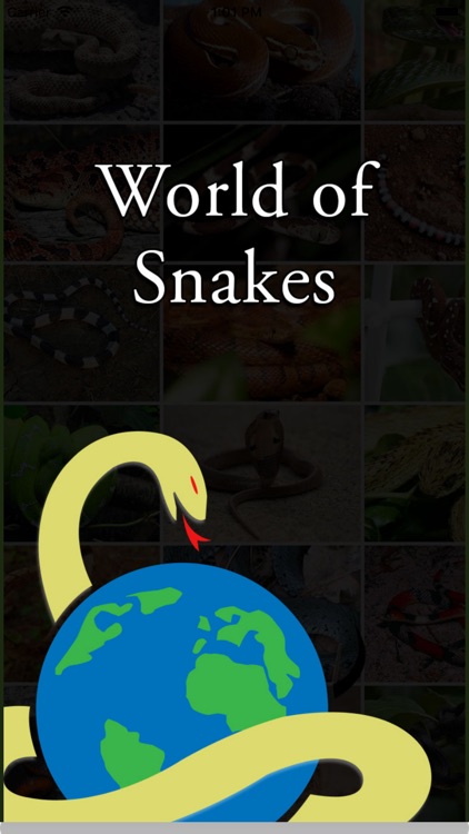 Amazing World Of Snakes