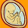Fetal Kick Count - Baskaran Arunasalam