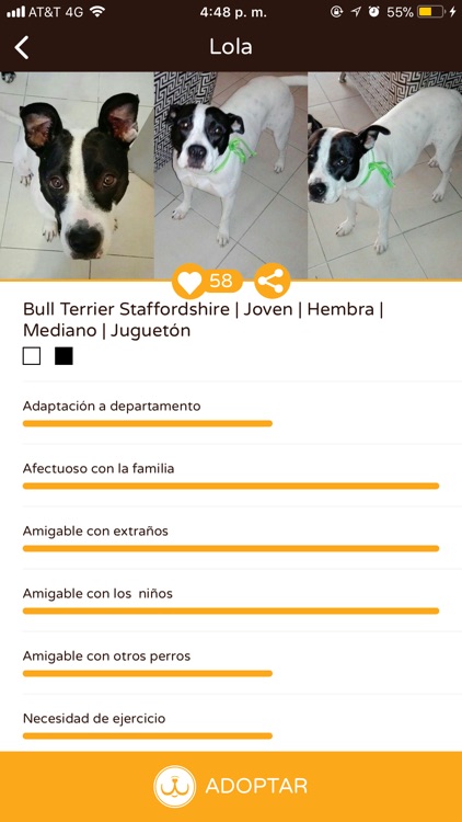 Adoptare screenshot-4