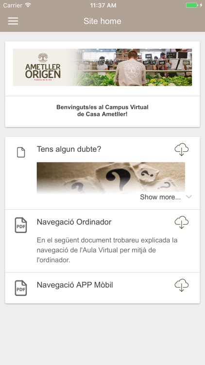 Aula Virtual Ametller Origen