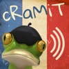 cRaMiT French GCSE Vocabulary