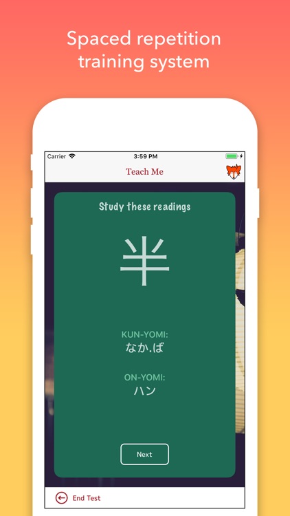 iKanji touch