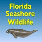 Top 23 Reference Apps Like Florida Seashore Wildlife - Best Alternatives