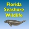 Another app in our Florida Wildlife series