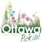 Ottawa, Illinois is a vibrant tourist destination located 80 miles outside of downtown Chicago