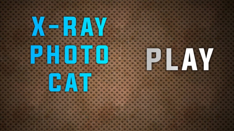 Simulator X-Ray Photo Cat