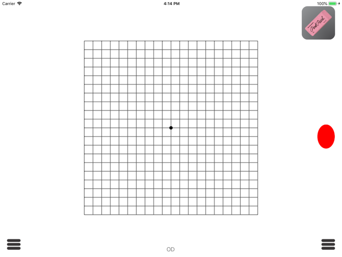 Amsler Grids