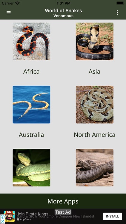 Amazing World Of Snakes