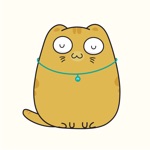 Scottish Fold Cat Animated