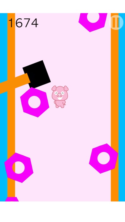 Funny Pig Fall