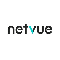 Netvue ne fonctionne pas? problème ou bug?