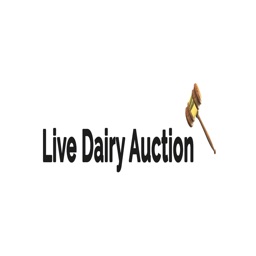 Live Dairy Auction