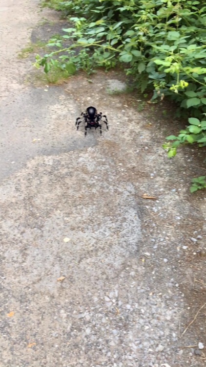 AR Spiders