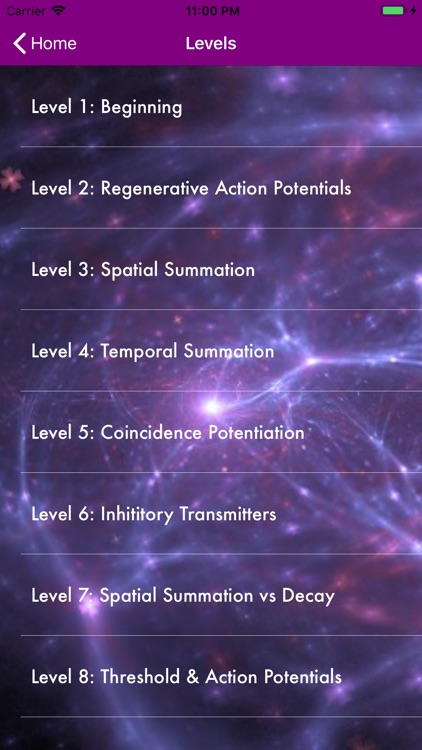 Postsynaptic Simulator