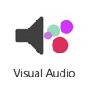 VisualAudio Hearing Aid
