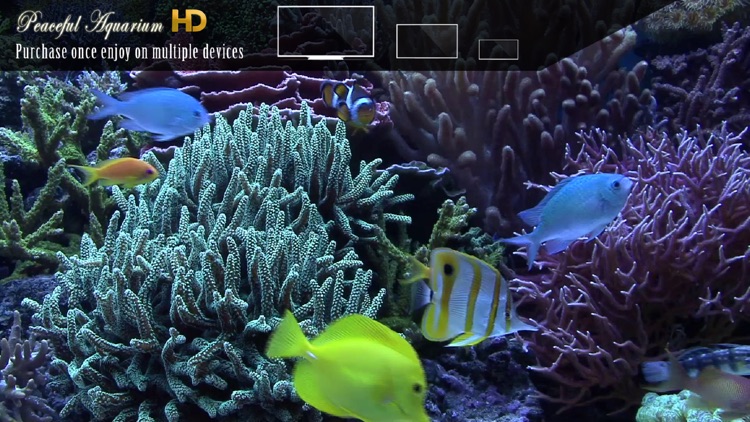 Peaceful Aquarium HD