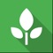 Arrange your garden and learn how to grow vegetables with this garden planner