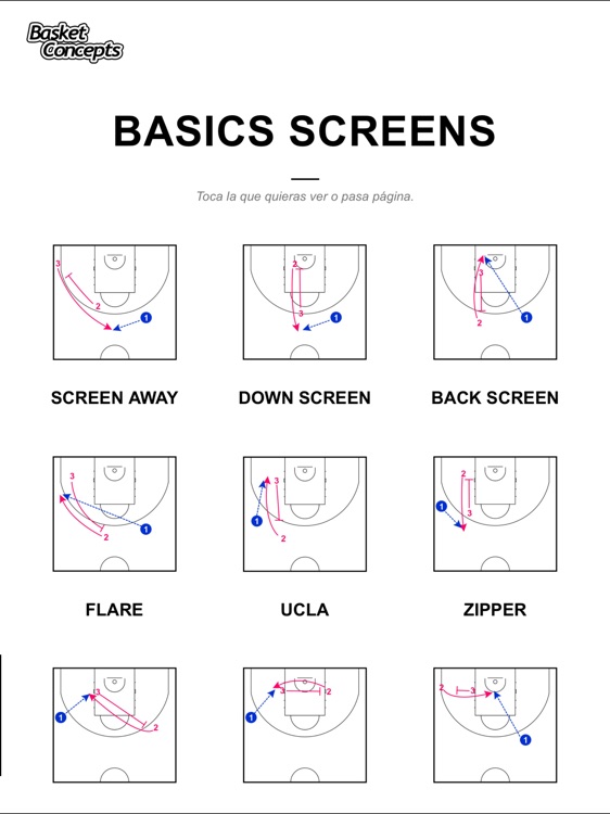 Basket Concepts screenshot-3