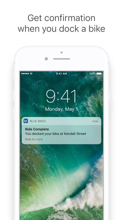 Blue Bikes screenshot-3
