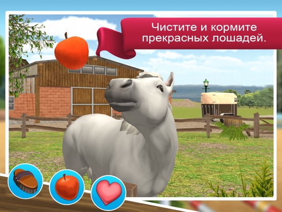 Конкур - Premium для iPad