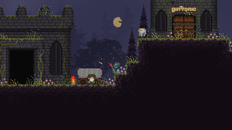 Pixel Wizard: Ultimate Edition screenshot-3