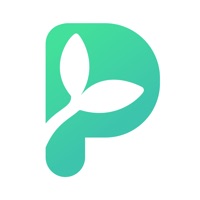 Palmstreet: Buy & Sell LIVE на пк