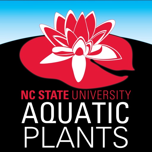 Aquatic Plants