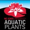 Whether you're a professional botanist or a casual nature enthusiast, the NC State University (NCSU) Aquatic Plants app has detailed information on a wide variety of aquatic plants to assist in identification