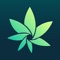 Instantly test the quality of your cannabis flowers straight from your phone