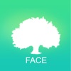 BigTree Face
