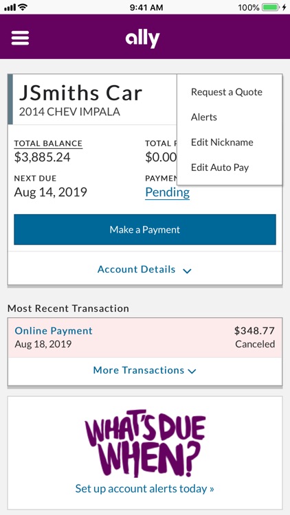 Ally Auto Mobile Pay screenshot-5