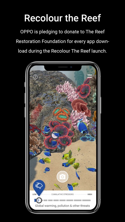 Recolour The Reef