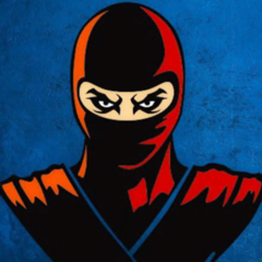 Ninja Assassin VS Spider Hero